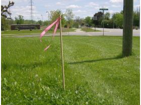 The bike path along Whittaker Road currently stops near the district library. Stakes mark out the boundary of the county's right-of-way, which may be used to connect the bike path if one property owner does not agree to sell an easement to the township.