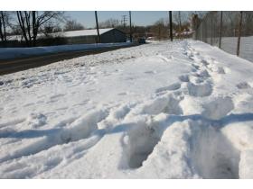  Snow removal enforcement was encouraged by City Council after repeated complaints some property owners do not shovel. The old Motor Wheel facility, above, was on that list of repeat offenders.